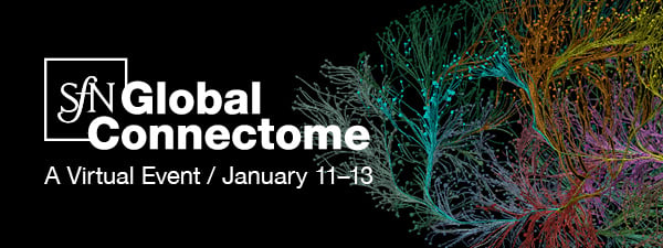 SfN Global Connectome: A Virtual Event / January 11?13