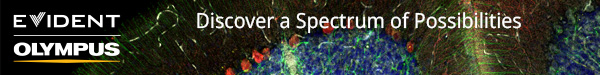 FV3000_SocietyNeuroscience_600x75_2022_09 (002)-1