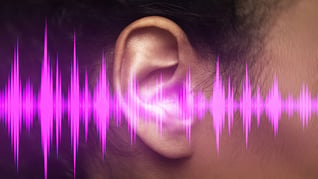 Ear and sound waves