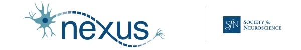 Nexus Header (No Border)