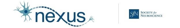 Nexus-Template-00