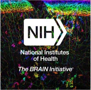 NIH brain initiative conference graphic